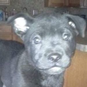 Meet your Posher, Lynne flewelling